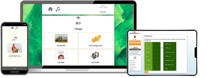 Business-Chinesisch (B2/C1) - Onlinekurs