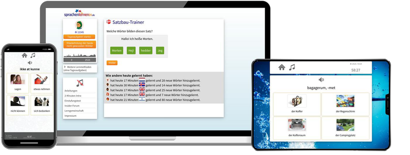 Dänisch-Fachwortschatz (C1/C2) + Audiotrainer - Onlinekurs