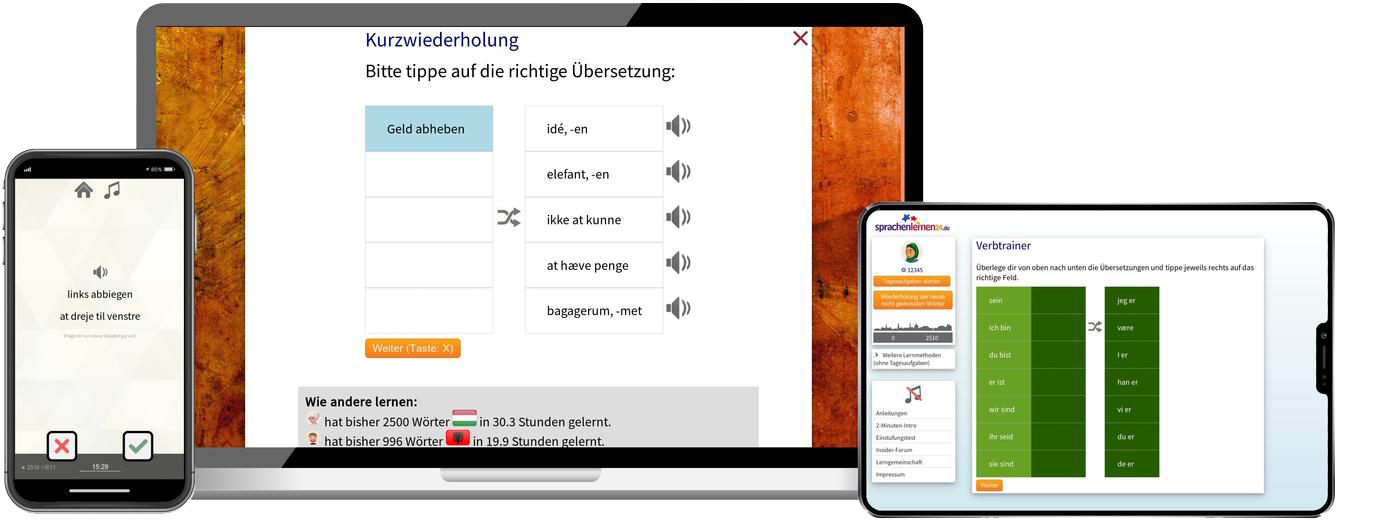 Business-Dänisch (B2/C1) - Onlinekurs