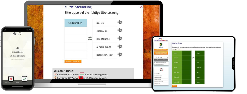 Business-Dänisch (B2/C1) - Onlinekurs