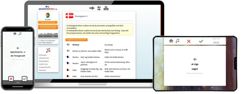 Dänisch-Komplettpaket - Onlinekurs