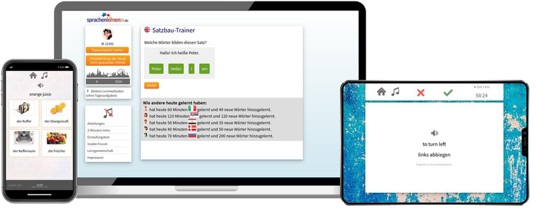 Englisch-Fachwortschatz (C1/C2) + Audiotrainer - Onlinekurs
