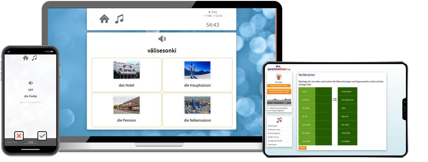 Business-Finnisch (B2/C1) - Onlinekurs