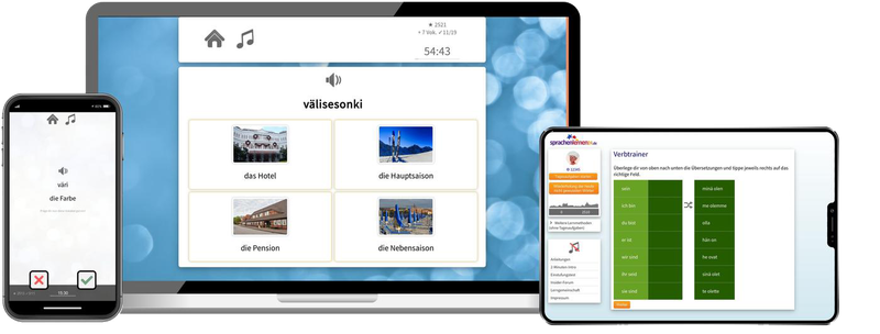 Business-Finnisch (B2/C1) - Onlinekurs