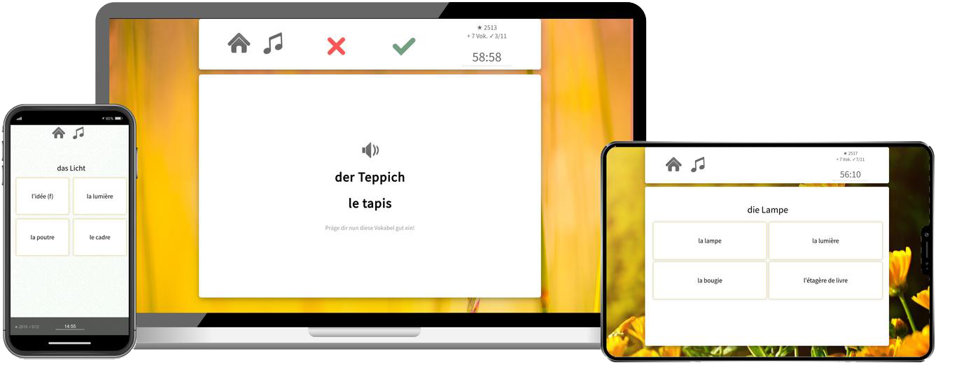 Französisch-Aufbaukurs (B1/B2) + Audiotrainer - Onlinekurs