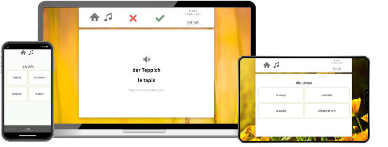Französisch-Aufbaukurs (B1/B2) + Audiotrainer - Onlinekurs Französisch-Aufbaukurs (B1/B2) + Audiotrainer - Onlinekurs