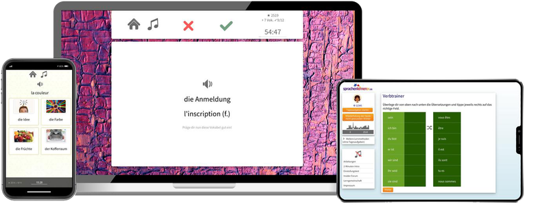 Französisch-Fachwortschatz (C1/C2) + Audiotrainer - Onlinekurs