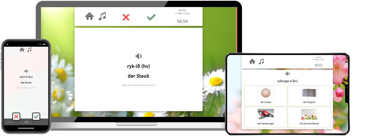 Isländisch-Aufbaukurs (B1/B2) + Audiotrainer - Onlinekurs