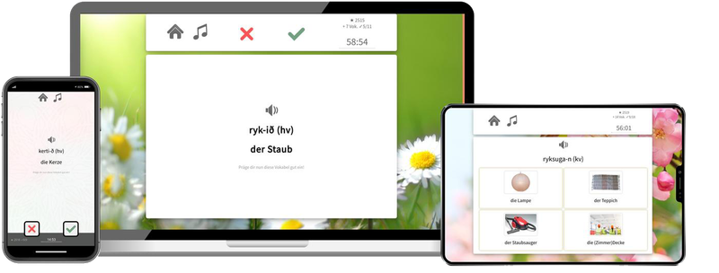 Isländisch-Aufbaukurs (B1/B2) + Audiotrainer - Onlinekurs Isländisch-Aufbaukurs (B1/B2) + Audiotrainer - Onlinekurs