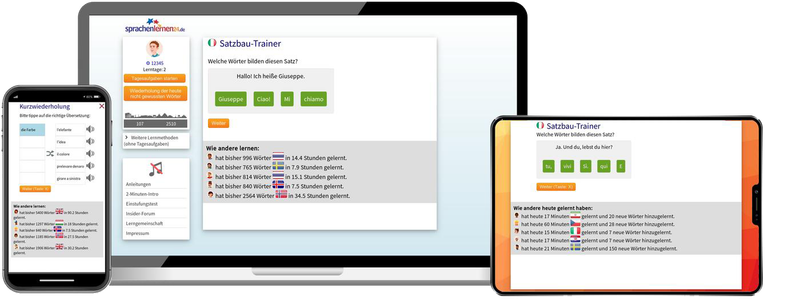 Italienisch-Fachwortschatz (C1/C2) + Audiotrainer - Onlinekurs