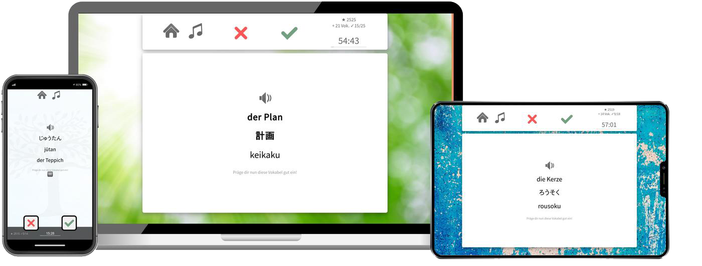 Japanisch-Aufbaukurs (B1/B2) + Audiotrainer - Onlinekurs