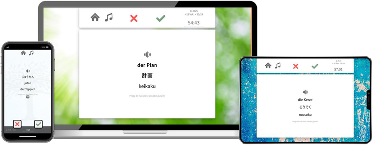 Japanisch-Aufbaukurs (B1/B2) + Audiotrainer - Onlinekurs