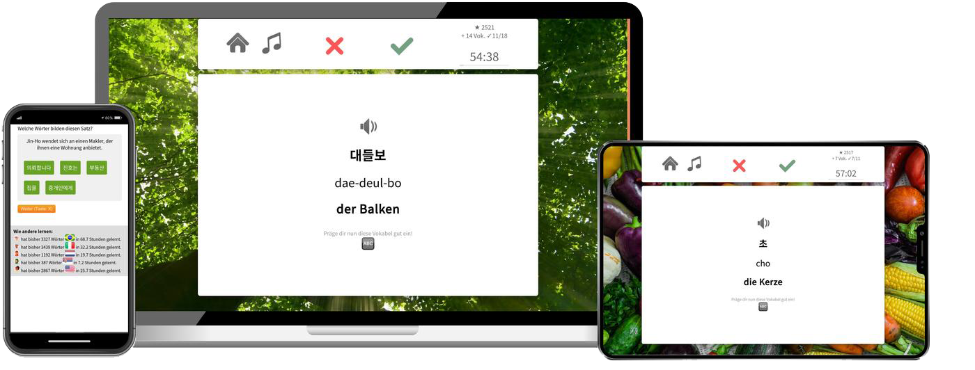 Koreanisch-Aufbaukurs (B1/B2) + Audiotrainer - Onlinekurs Koreanisch Aufbaukurs B1 B2 Onlinekurs mit Audiotrainer für Fortgeschrittene
