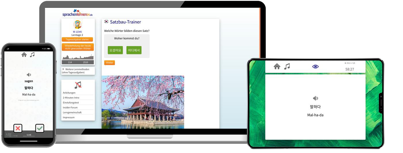 Koreanisch-Fachwortschatz (C1/C2) + Audiotrainer - Onlinekurs