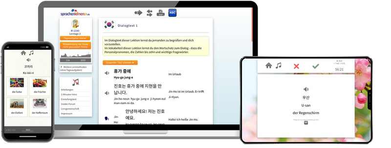 Koreanisch Komplettpaket - Onlinekurs