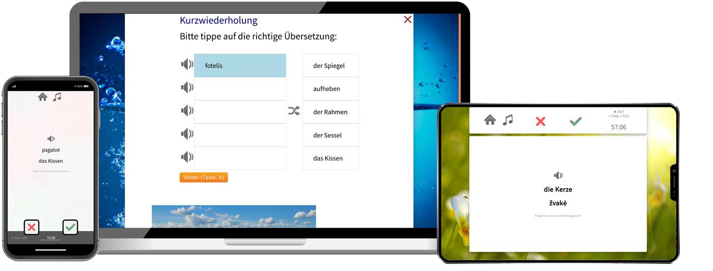 Litauisch-Aufbaukurs (B1/B2) + Audiotrainer - Onlinekurs Litauisch Aufbaukurs B1 B2 Onlinekurs mit Audiotrainer für Fortgeschrittene