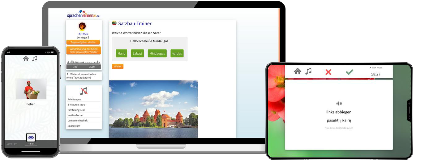 Litauisch-Fachwortschatz (C1/C2) + Audiotrainer - Onlinekurs