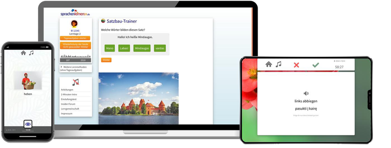 Litauisch-Fachwortschatz (C1/C2) + Audiotrainer - Onlinekurs