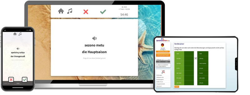 Business-Litauisch (B2/C1) - Onlinekurs