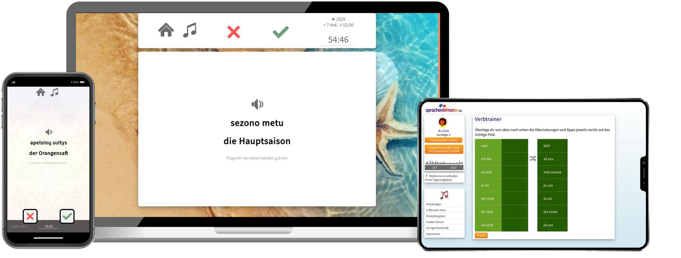 Litauisch Business Sprachkurs B2 C1 Onlinekurs für Beruf und Karriere