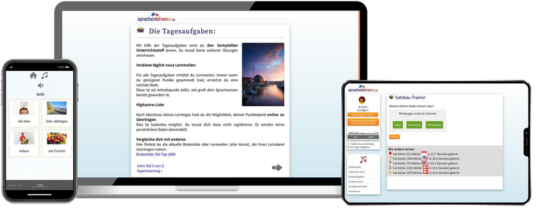 Litauisch-Komplettpaket - Onlinekurs