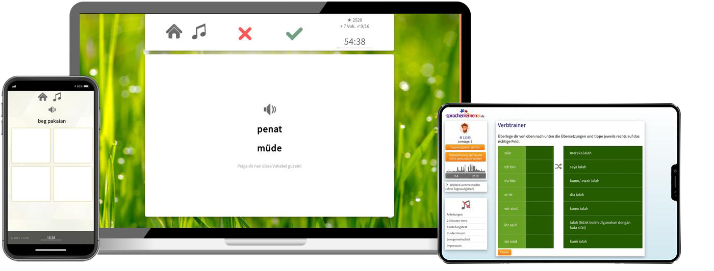 Malaysisch XL Sprachpaket Onlinekurs mit Basiskurs und Zusatzmaterial