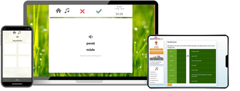 Malaysisch-XL-Paket - Onlinekurs