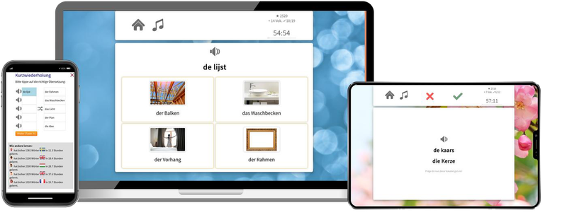 Niederländisch-Aufbaukurs (B1/B2) + Audiotrainer - Onlinekurs