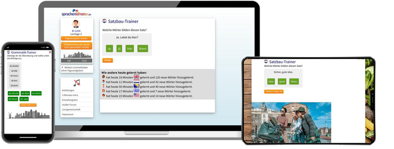Niederländisch-Fachwortschatz (C1/C2) + Audiotrainer - Onlinekurs
