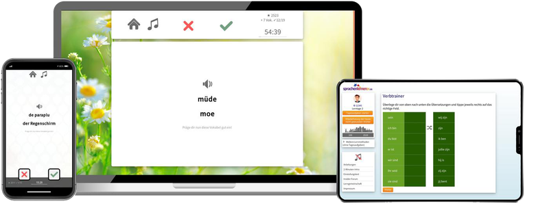 Business-Niederländisch (B2/C1) - Onlinekurs