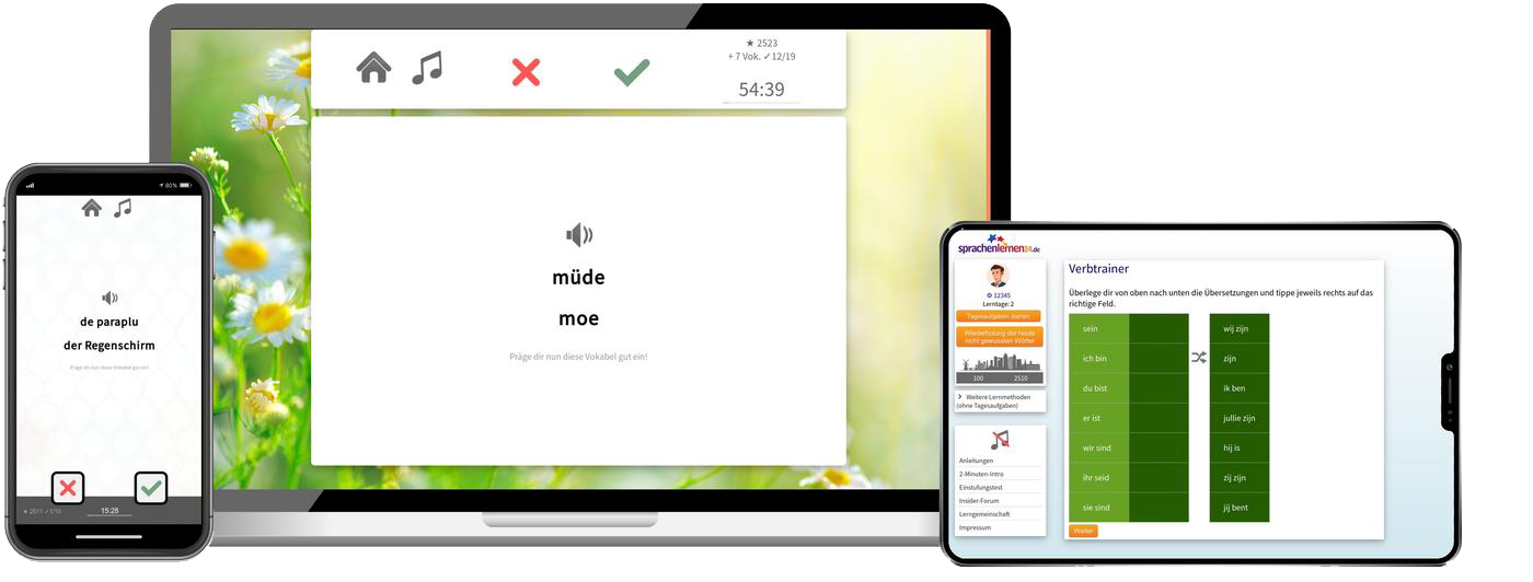 Niederländisch Business Sprachkurs B2 C1 Onlinekurs für Beruf und Karriere
