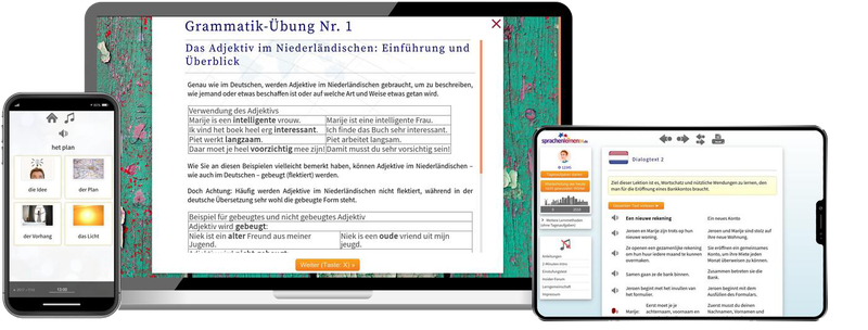 Niederländisch-Komplettpaket - Onlinekurs