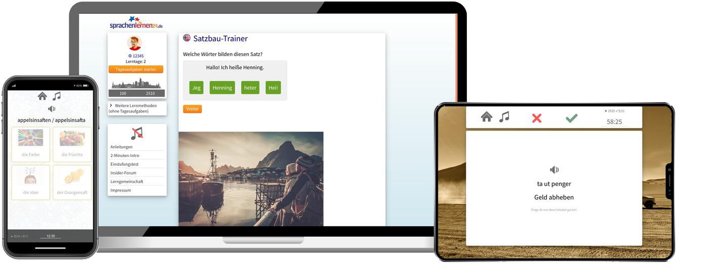 Norwegisch-Fachwortschatz (C1/C2) + Audiotrainer - Onlinekurs