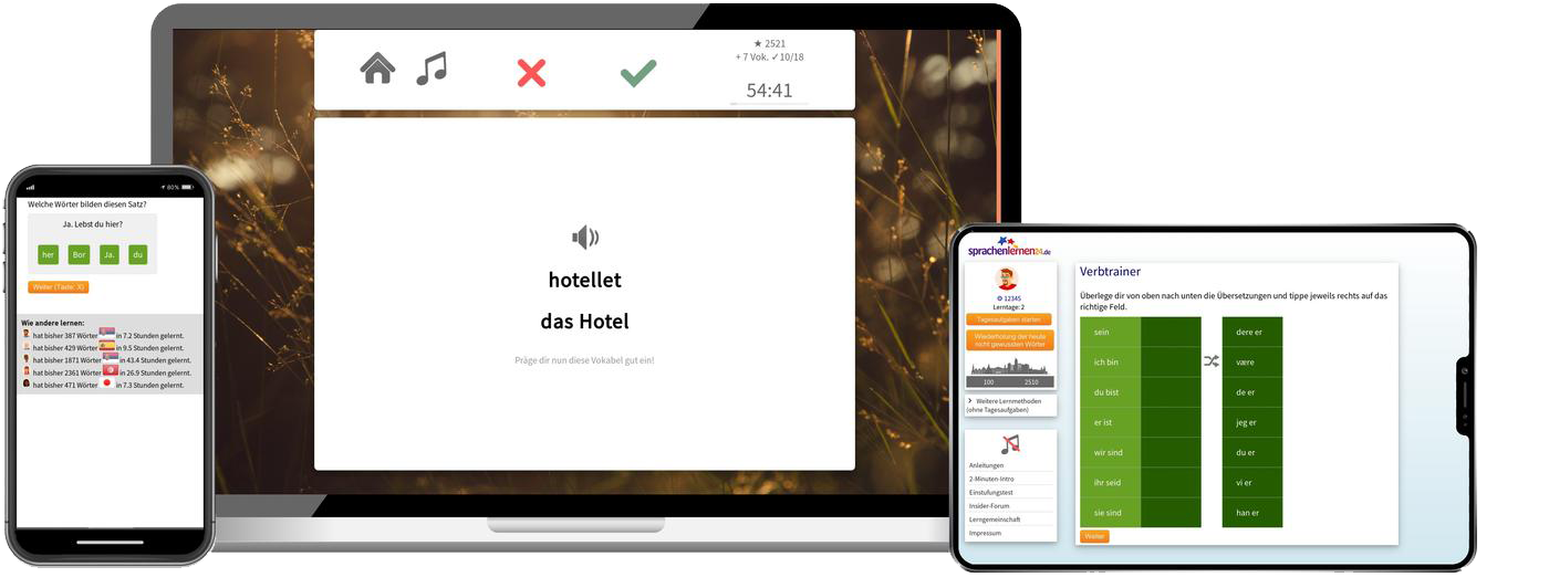 Business-Norwegisch (B2/C1) - Onlinekurs