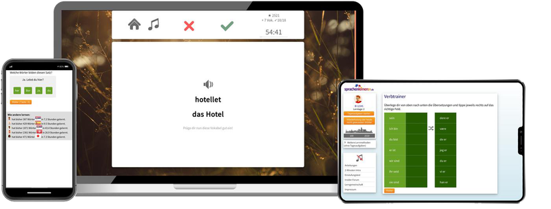 Business-Norwegisch (B2/C1) - Onlinekurs