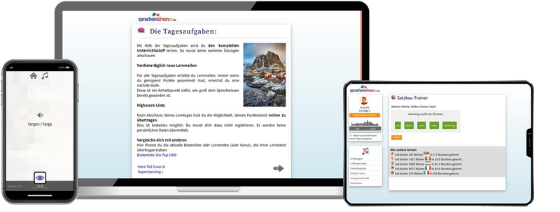 Norwegisch-Komplettpaket - Onlinekurs