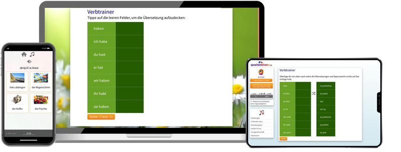 Business-Polnisch (B2/C1) - Onlinekurs