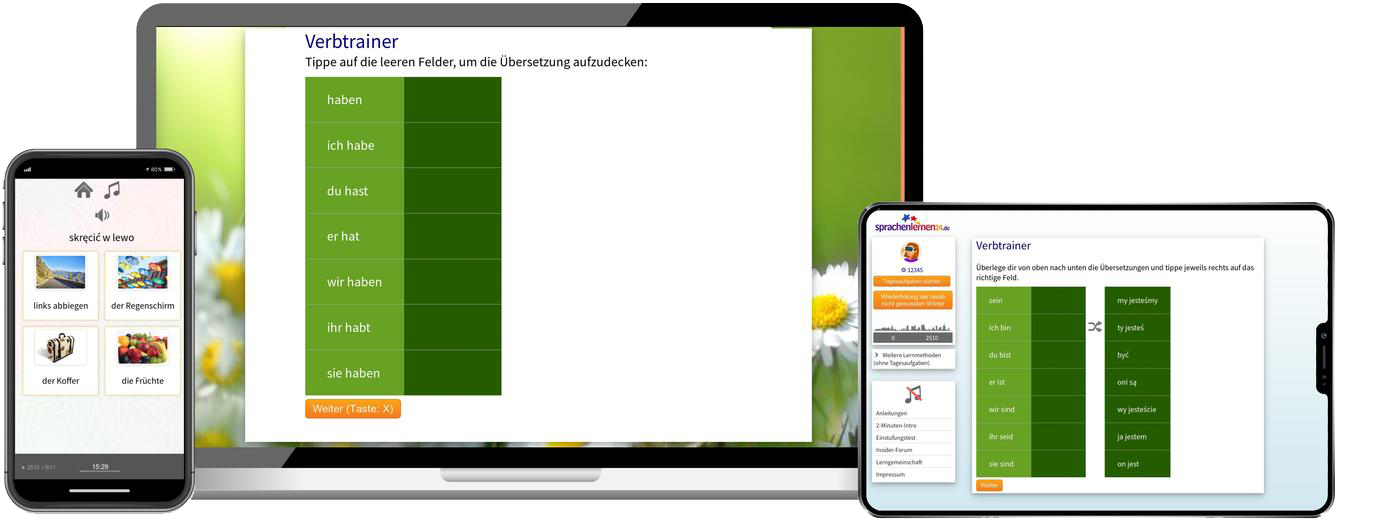 Business-Polnisch (B2/C1) - Onlinekurs Polnisch Business Sprachkurs B2 C1 Onlinekurs für Beruf und Karriere
