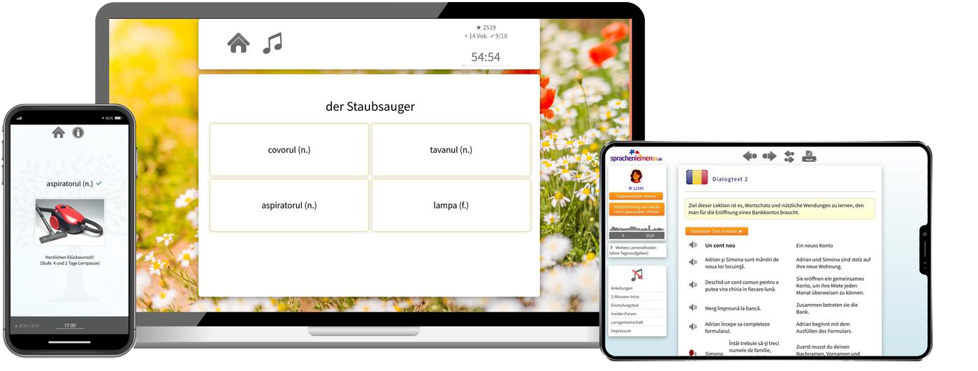 Rumänisch-Aufbaukurs (B1/B2) + Audiotrainer - Onlinekurs