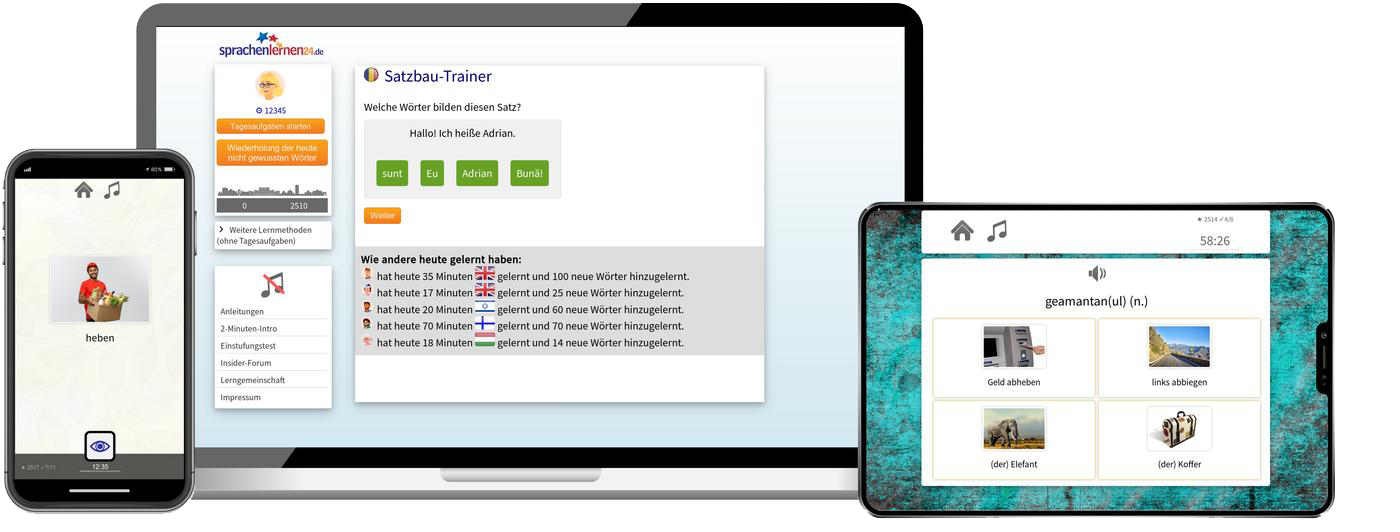 Rumänisch-Fachwortschatz (C1/C2) + Audiotrainer - Onlinekurs