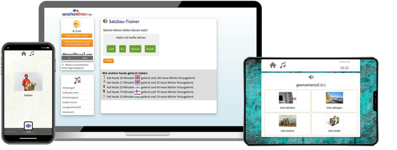 Rumänisch-Fachwortschatz (C1/C2) + Audiotrainer - Onlinekurs