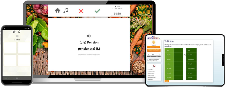 Business-Rumänisch (B2/C1) - Onlinekurs