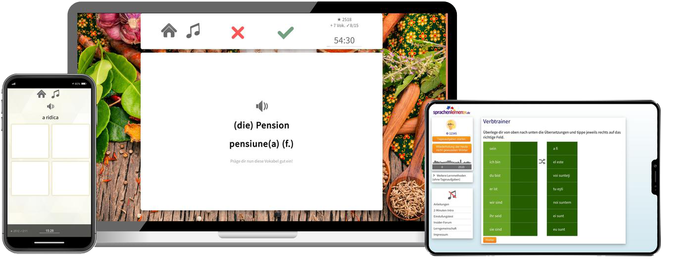 Business-Rumänisch (B2/C1) - Onlinekurs Rumänisch Business Sprachkurs B2 C1 Onlinekurs für Beruf und Karriere