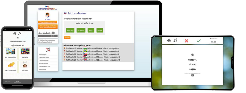 Russisch-Fachwortschatz (C1/C2) + Audiotrainer - Onlinekurs
