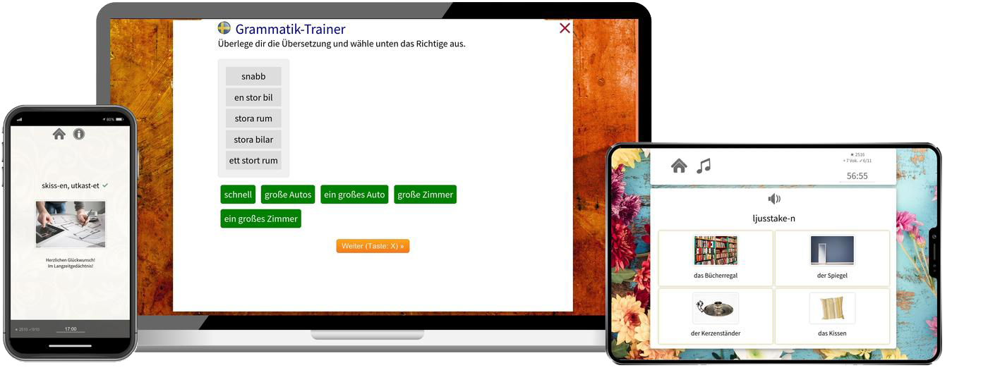 Schwedisch Aufbaukurs B1 B2 Onlinekurs mit Audiotrainer für Fortgeschrittene