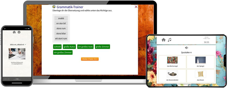 Schwedisch Aufbaukurs B1 B2 Onlinekurs mit Audiotrainer für Fortgeschrittene