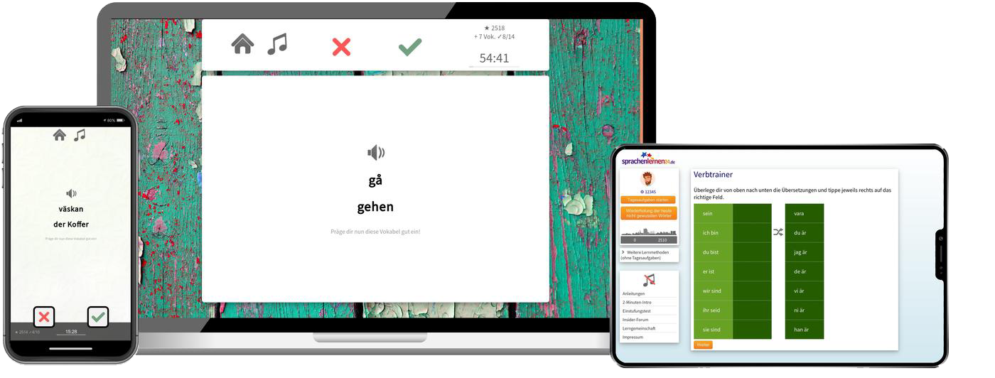 Business-Schwedisch (B2/C1) - Onlinekurs