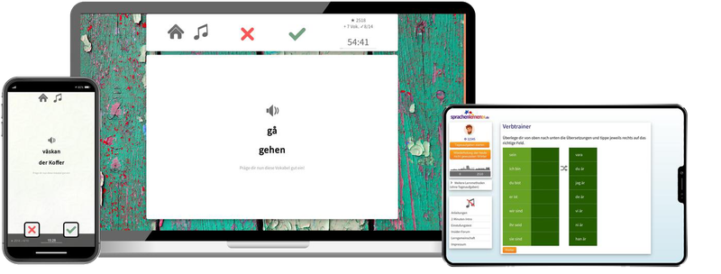 Business-Schwedisch (B2/C1) - Onlinekurs