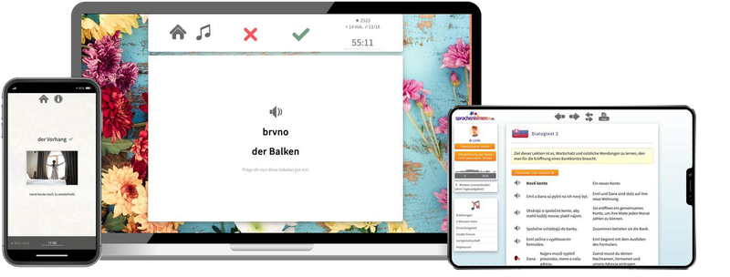 Slowakisch-Aufbaukurs (B1/B2) + Audiotrainer - Onlinekurs