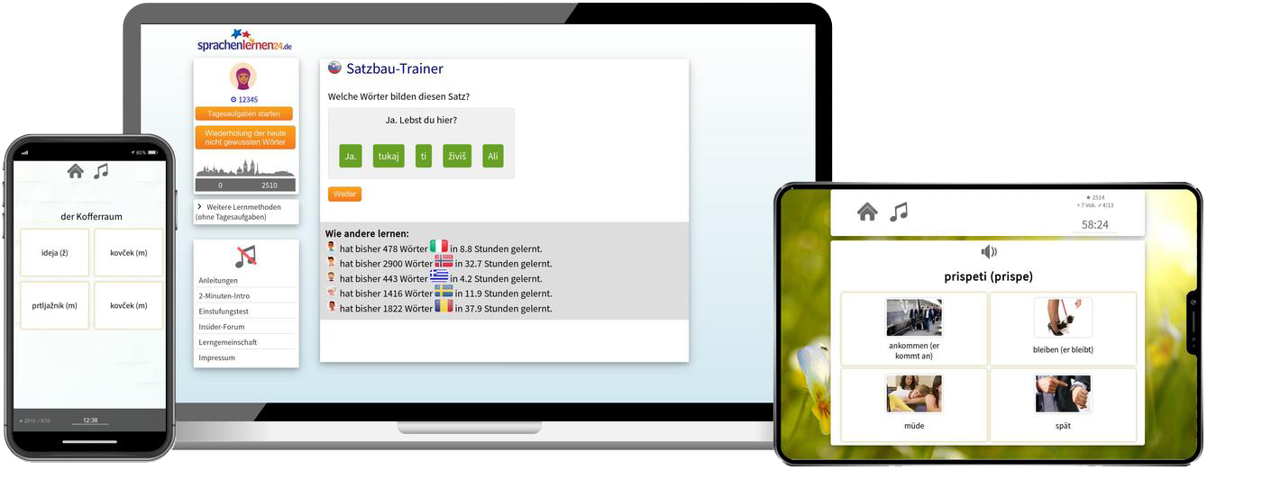 Slowenisch-Fachwortschatz (C1/C2) + Audiotrainer - Onlinekurs